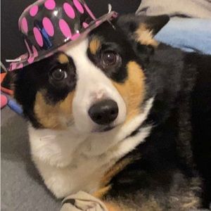 Meet your Posher, Katie